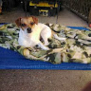 Meet your Posher, Candace